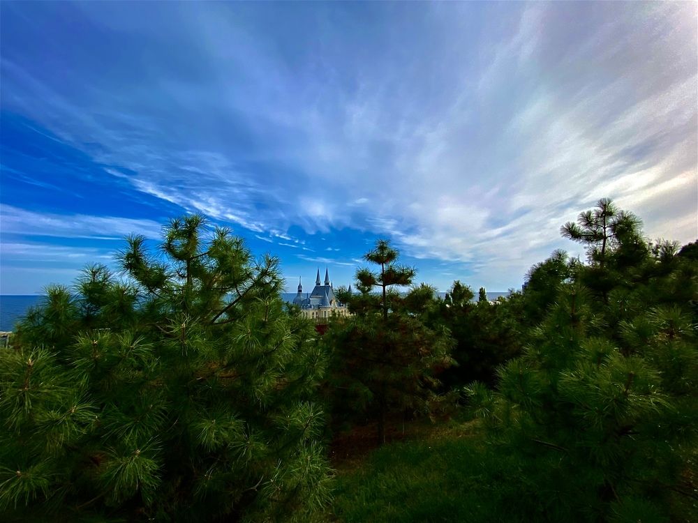 Photograph by Ольга Левенец