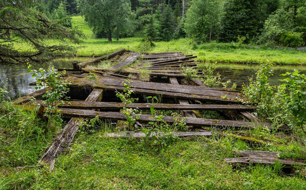 Photograph by Марина Новожилова