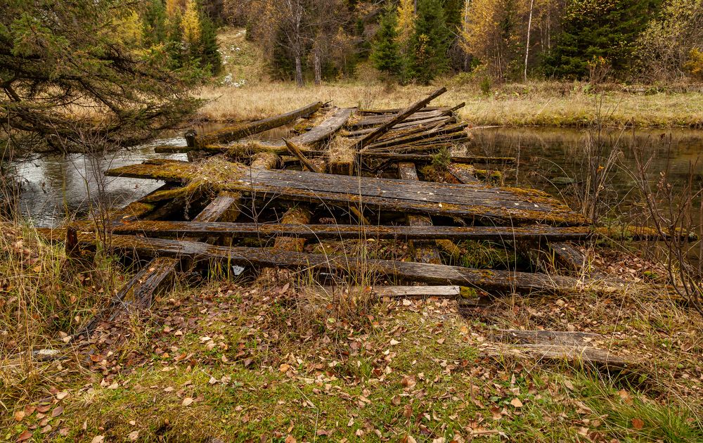 Photograph by Марина Новожилова