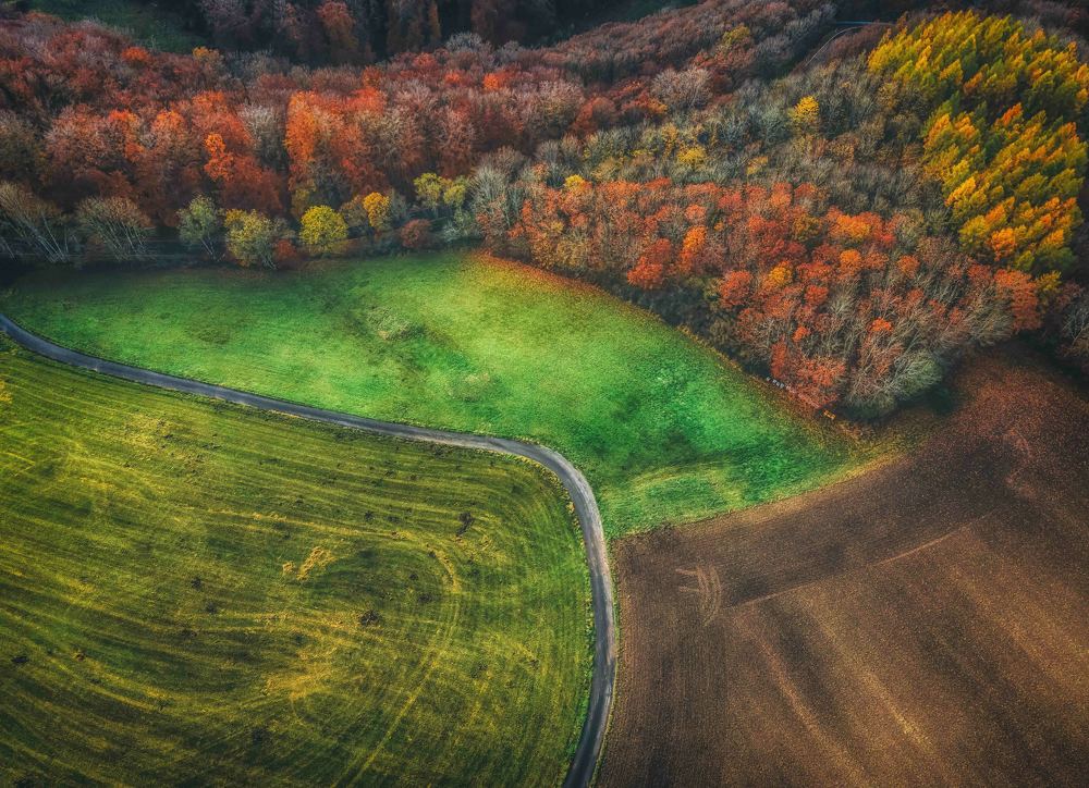 Photograph by Guy Krier