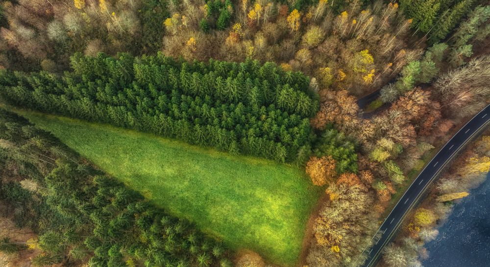 Photograph by Guy Krier