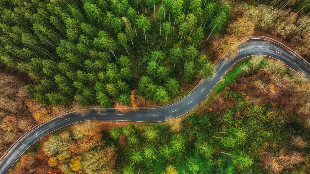 Photograph by Guy Krier