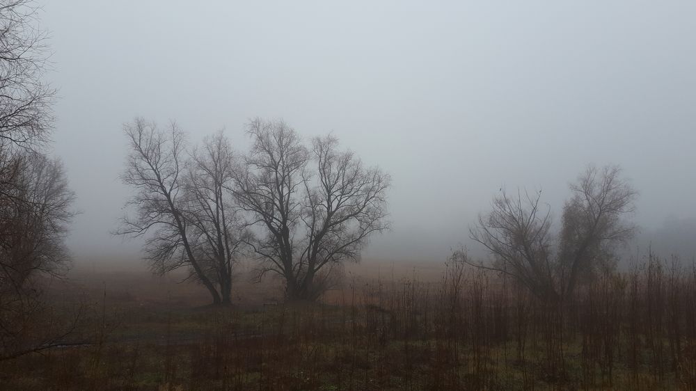 Photograph by Людмила Колеватова