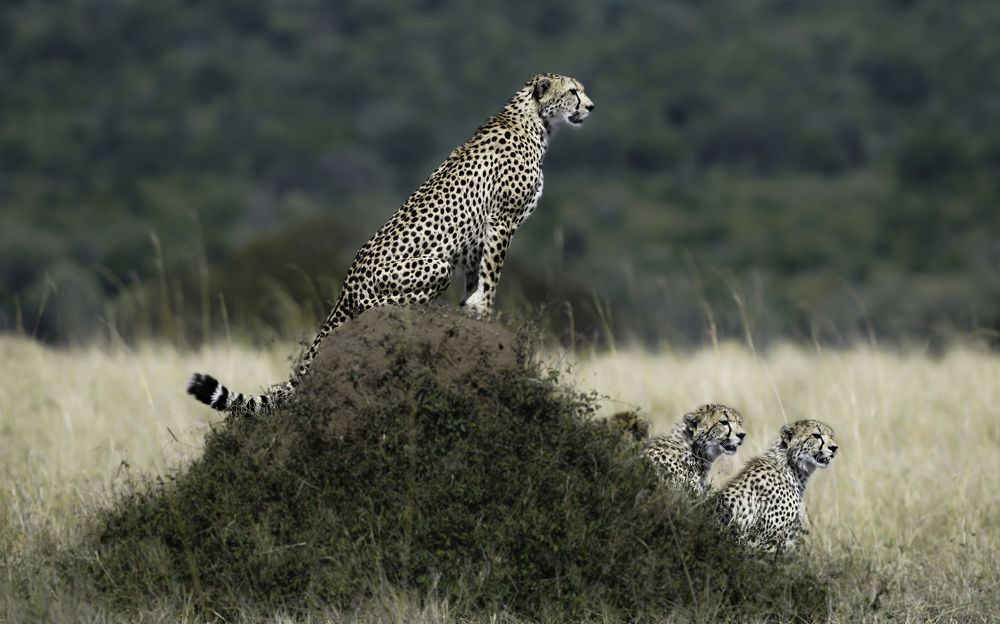 Photograph by Vignesh Ramachandran