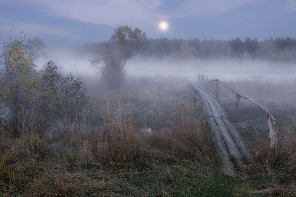Фотография автора Евгений Ерохин
