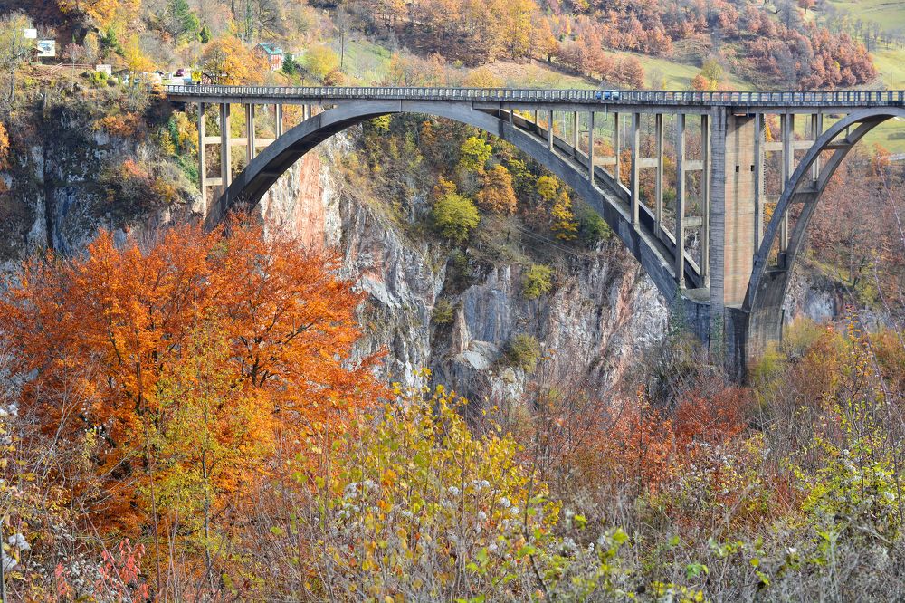 Photograph by Анатолий Орлов