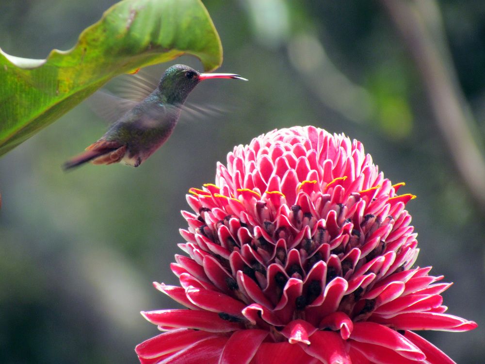 Photograph by Ricardo Gomez Guzman