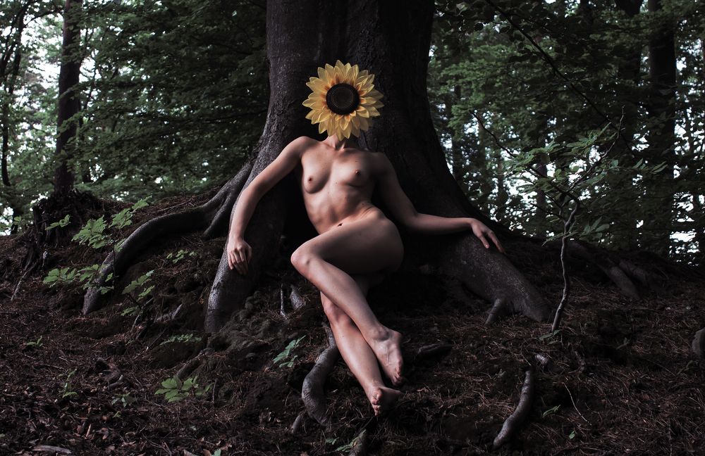 Photograph by Wojciech Grzegorczyk