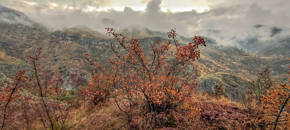 Photograph by Айдын Мехтиев