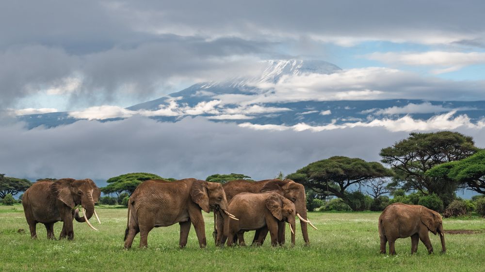 Photograph by Дмитрий Николаев
