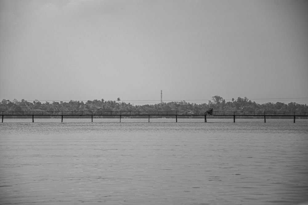 Photograph by Chamara Sulakkhana Polwatta Siriyalage