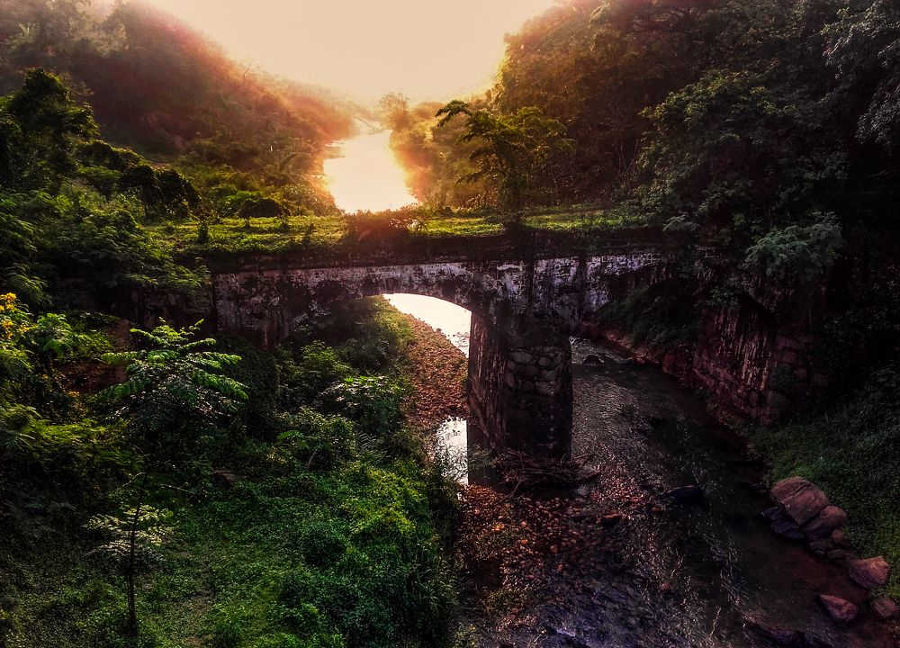 Photograph by Chamara Sulakkhana Polwatta Siriyalage