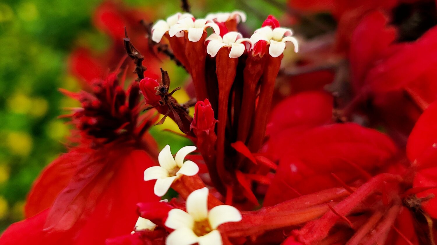 Photo #6763299