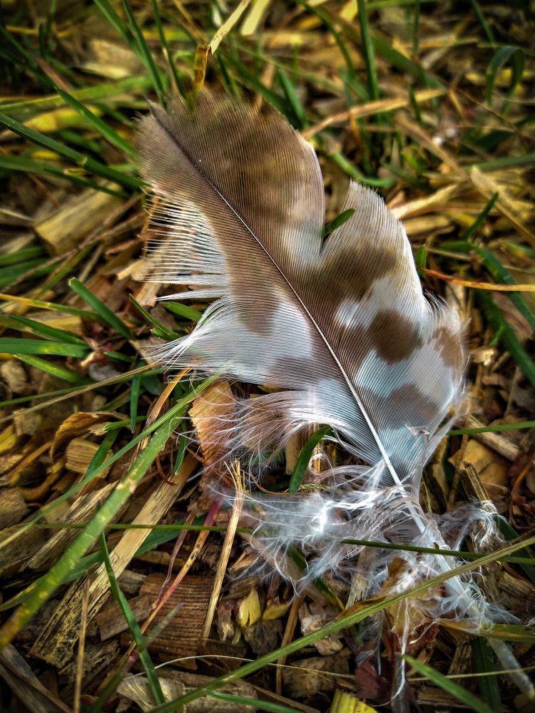 Photograph by Marina