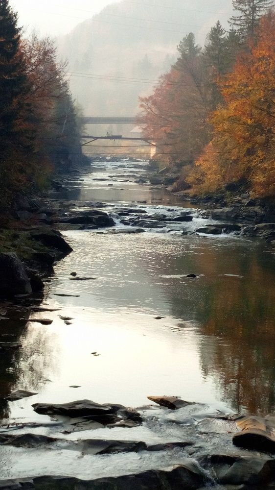 Фотография автора Николай Замковой
