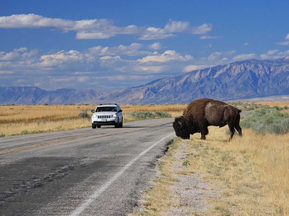 Photograph by Андрей Степанов