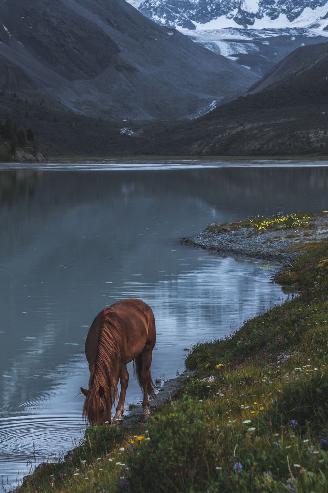 Photograph by Никита Волокитин