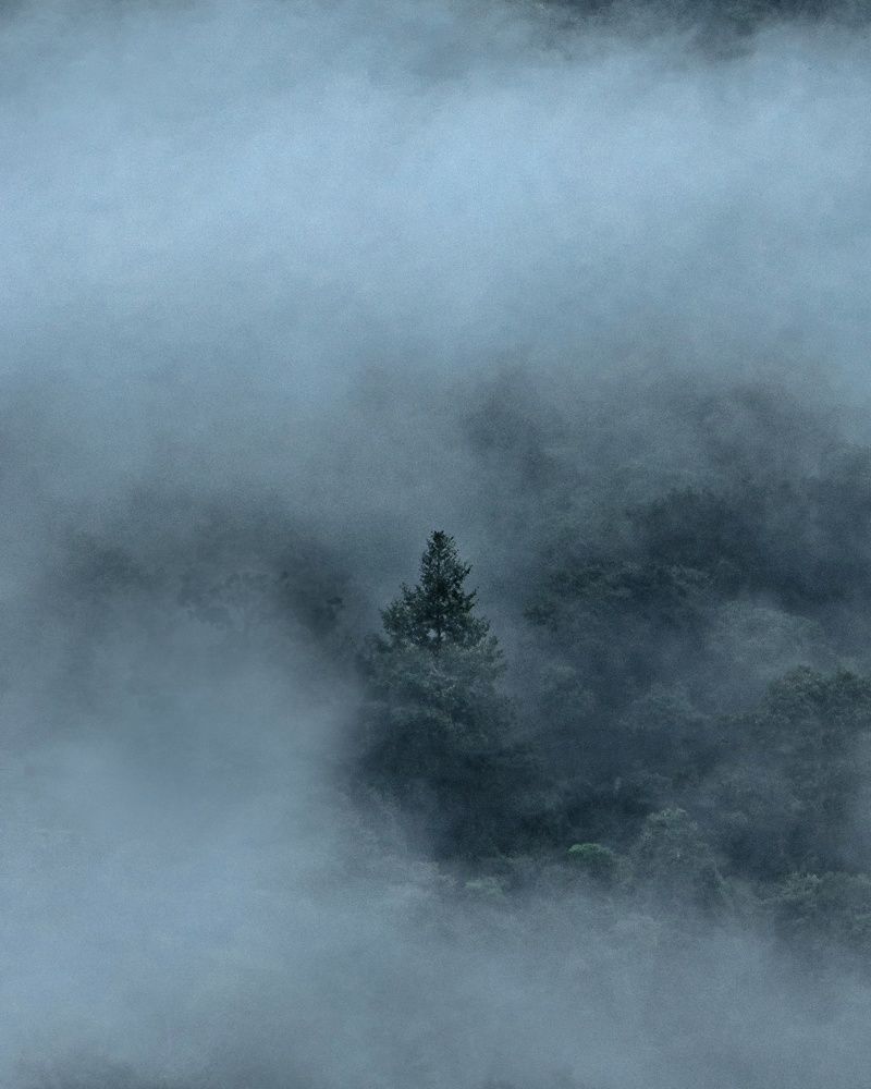 Photograph by N Nidhish Karkera