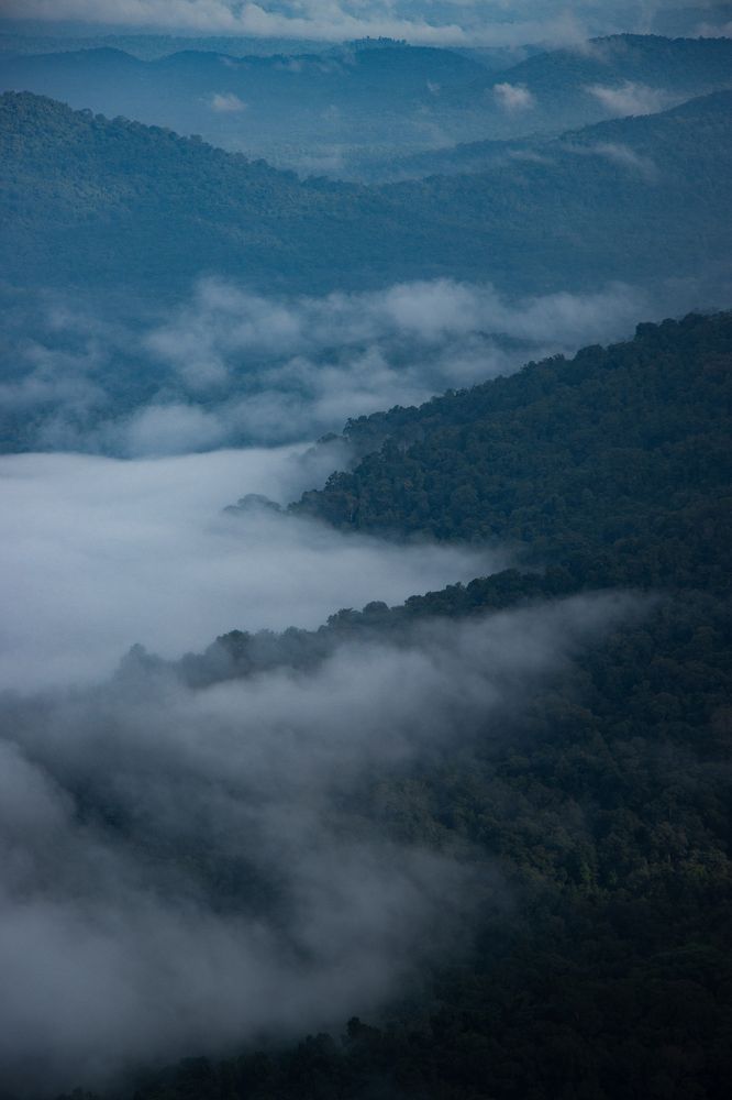 Photograph by N Nidhish Karkera