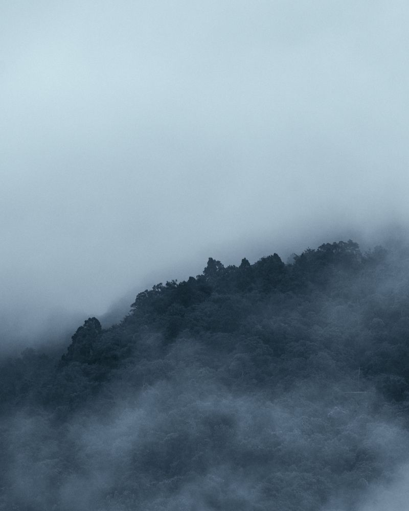 Photograph by N Nidhish Karkera