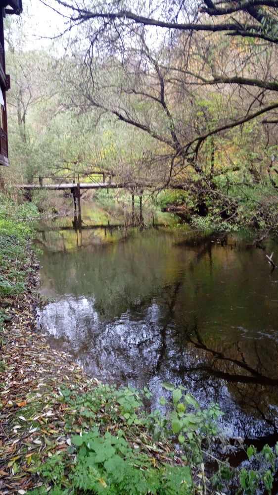 Фотография автора Николай Замковой