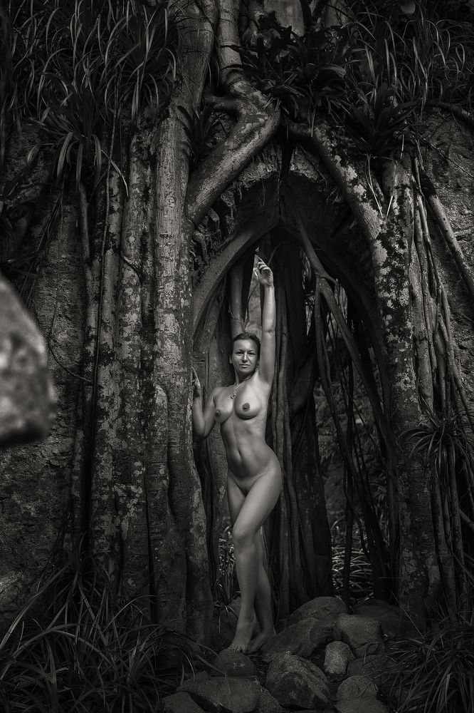 Photograph by Tetyana Vysochanska