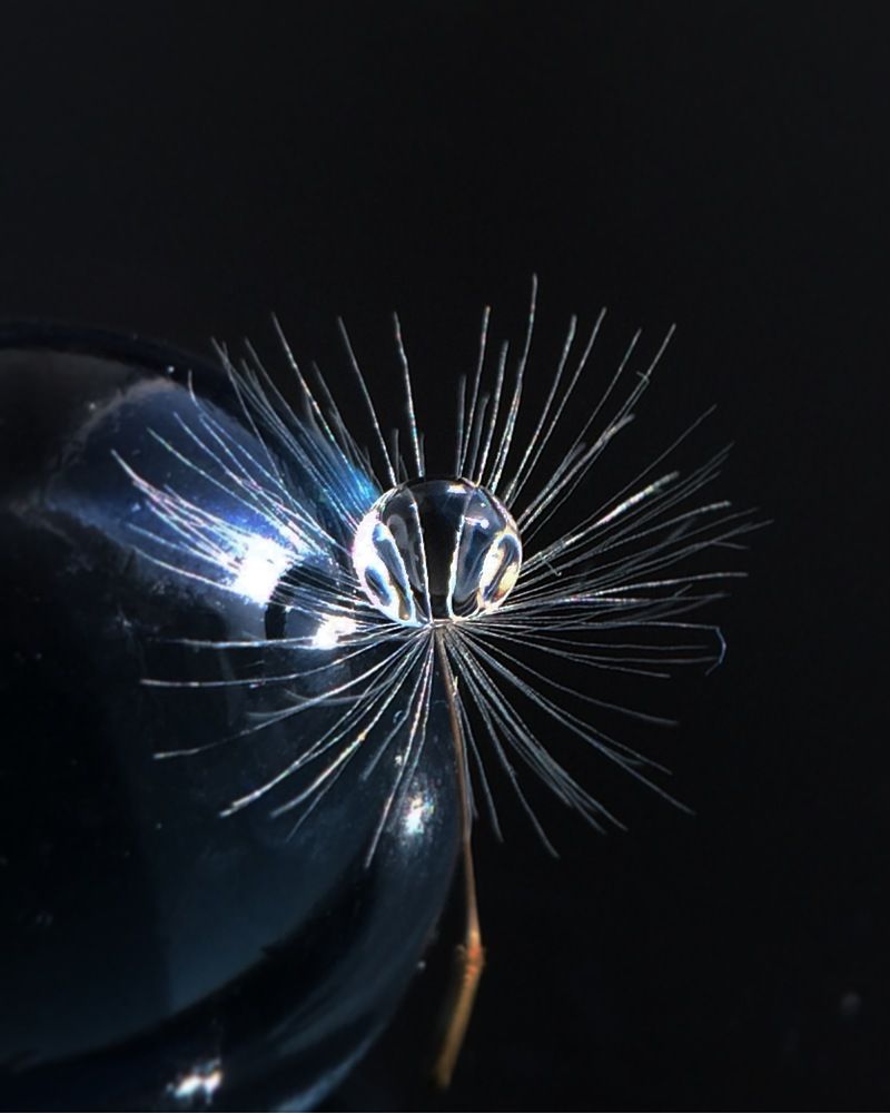 Свой космос