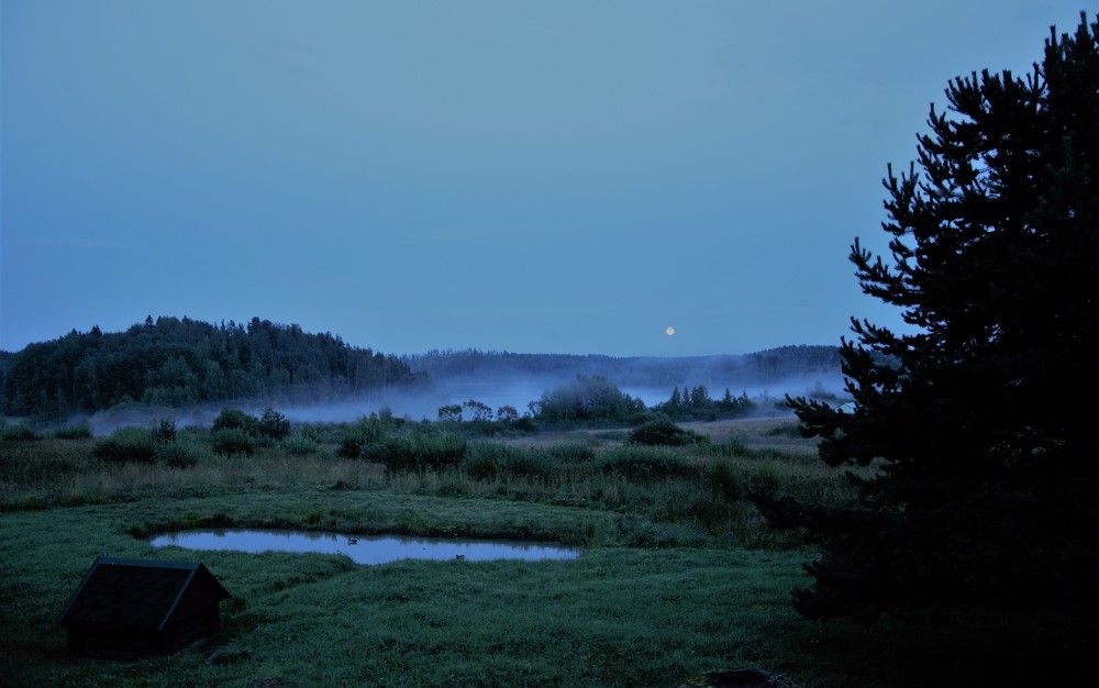 Photograph by Сергей Громов