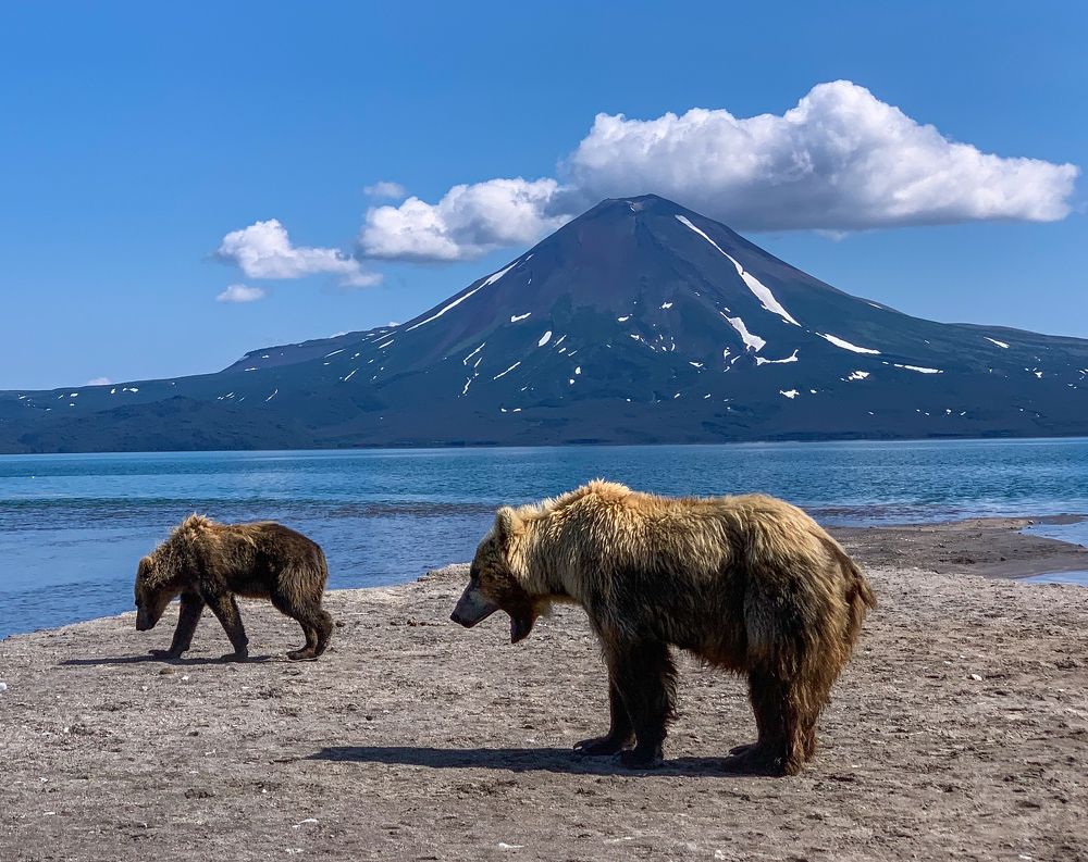 Photograph by Марина Маликова