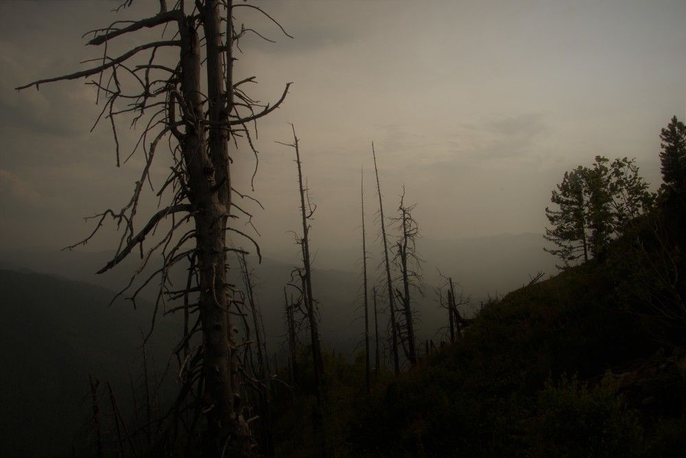 Photograph by Сергей Громов