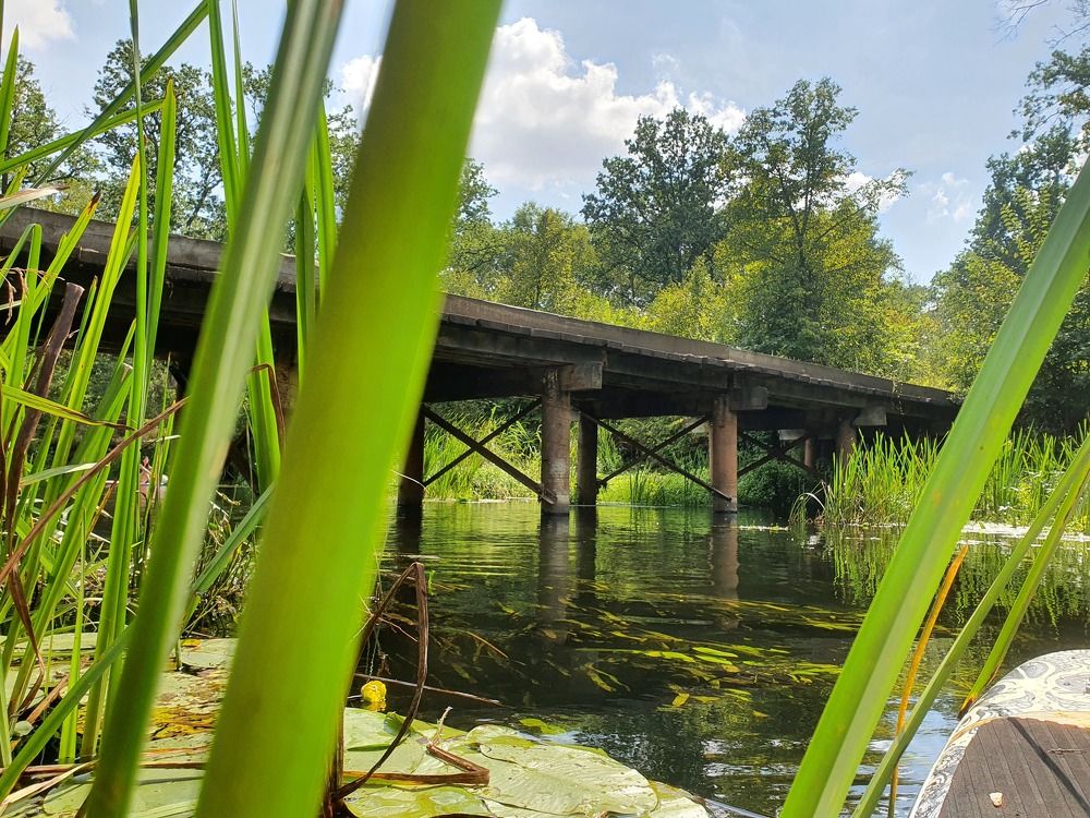 Photograph by Андрей Хитрун