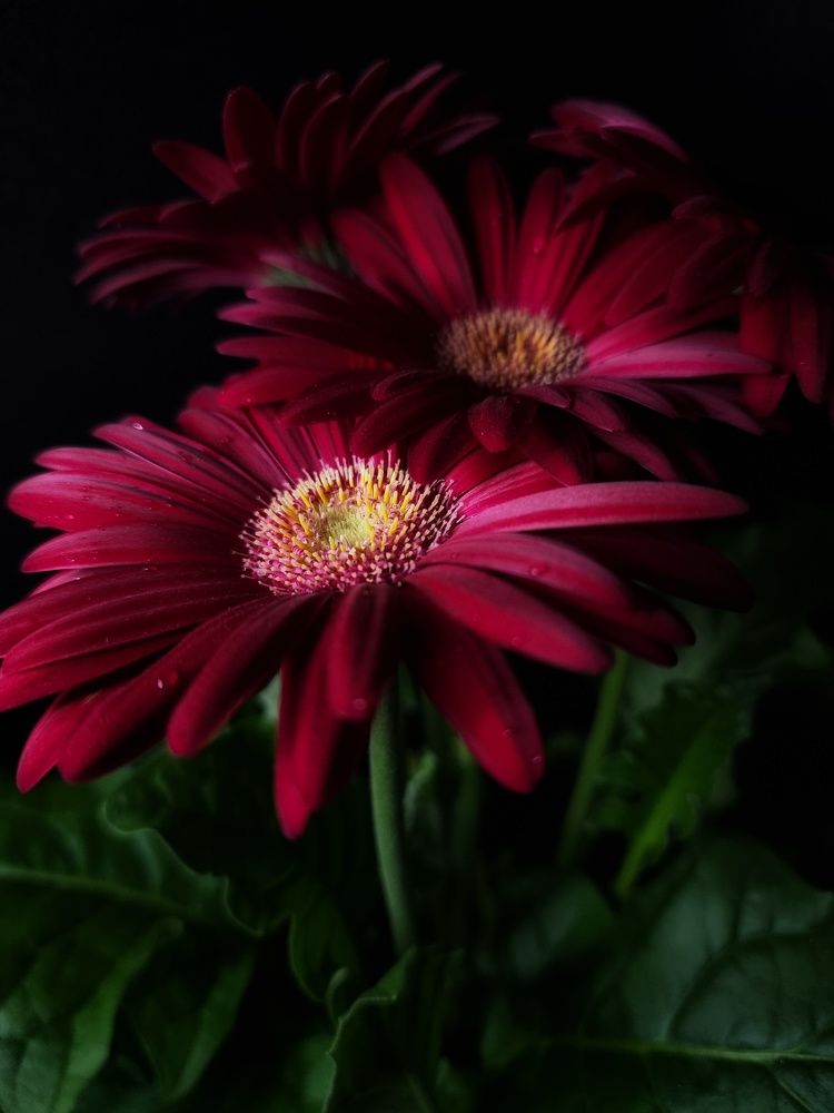 Photograph by Евгения Жданова