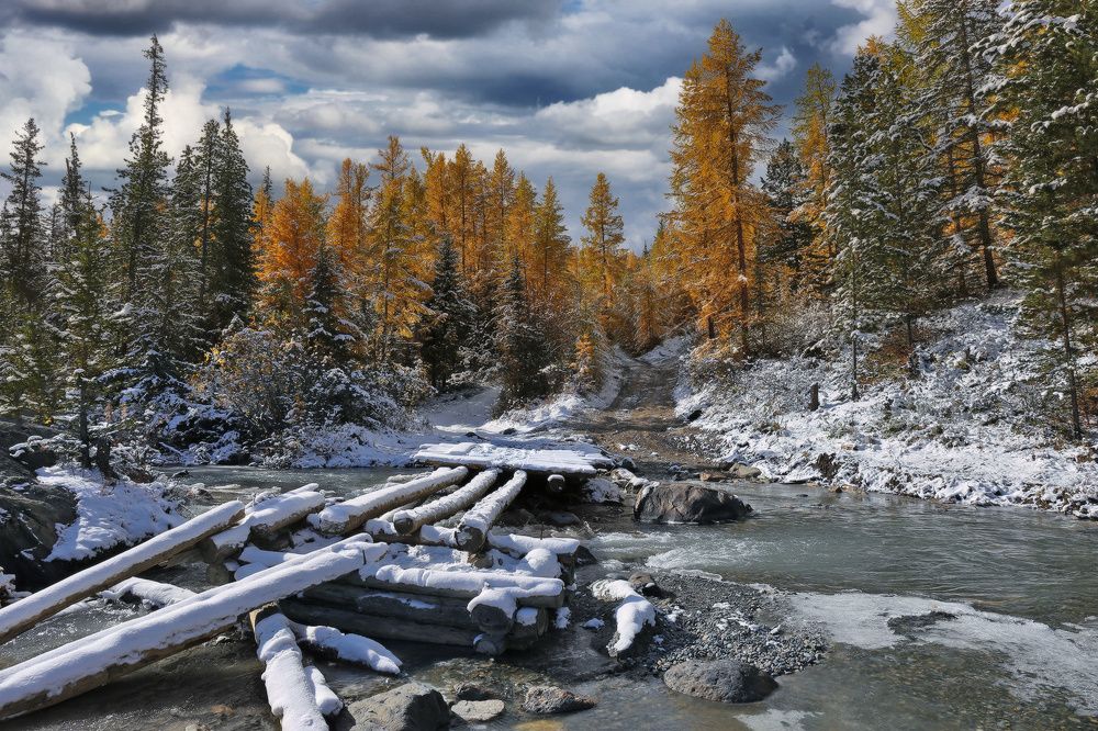 Photograph by Галина Хвостенко