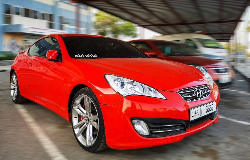 Photograph by Hamed Raafat