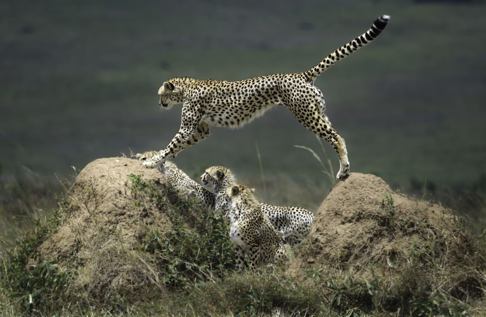 Photograph by Vignesh Ramachandran