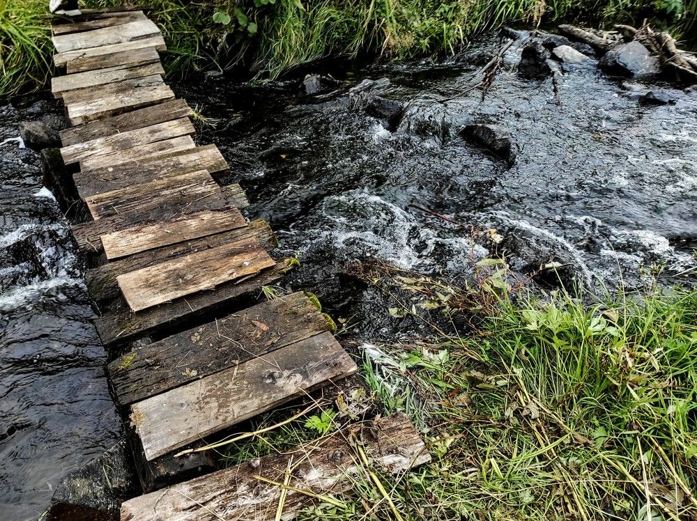 Photograph by Ирина Саттарова