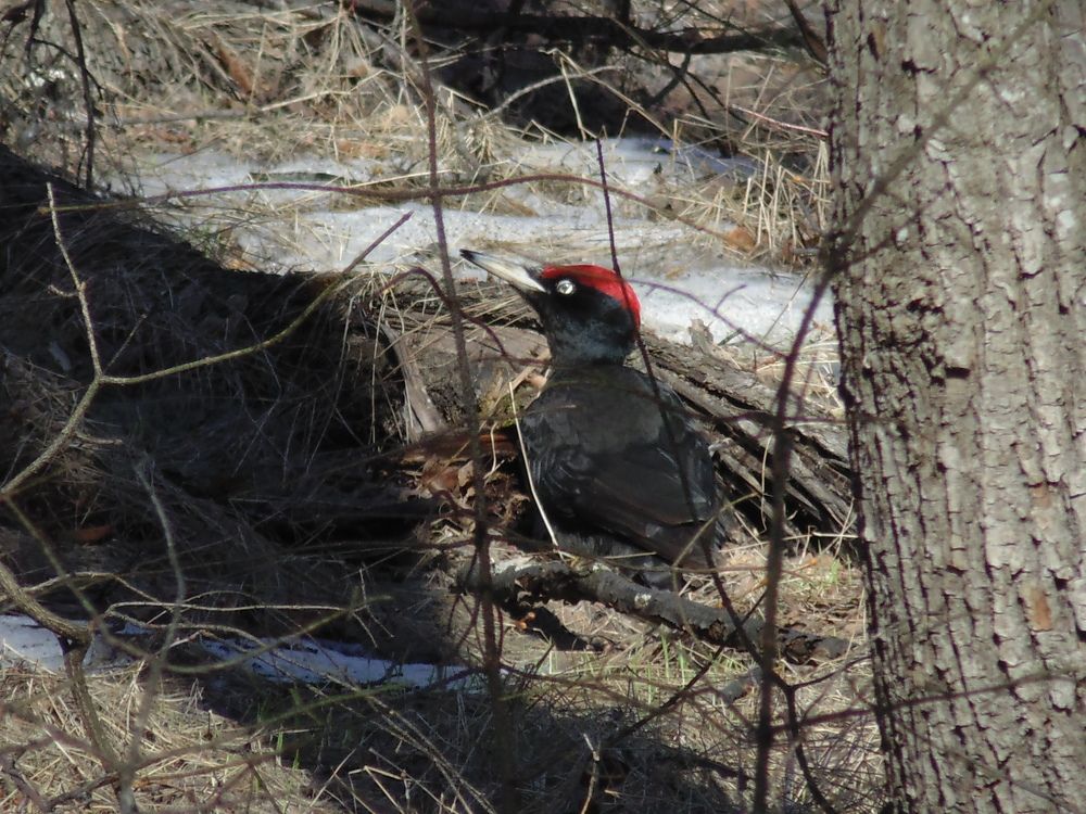 Photo #6763641