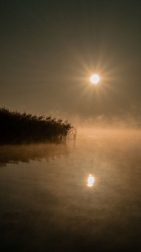 Photograph by Евгений Калагаев