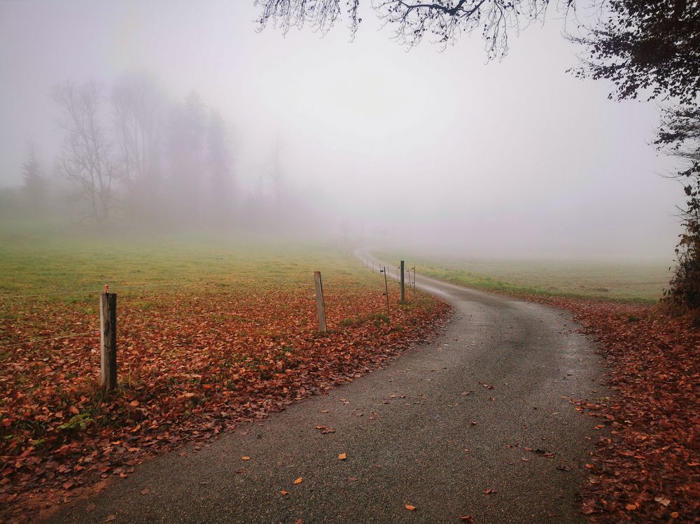 Photograph by Natalya  Podymahina