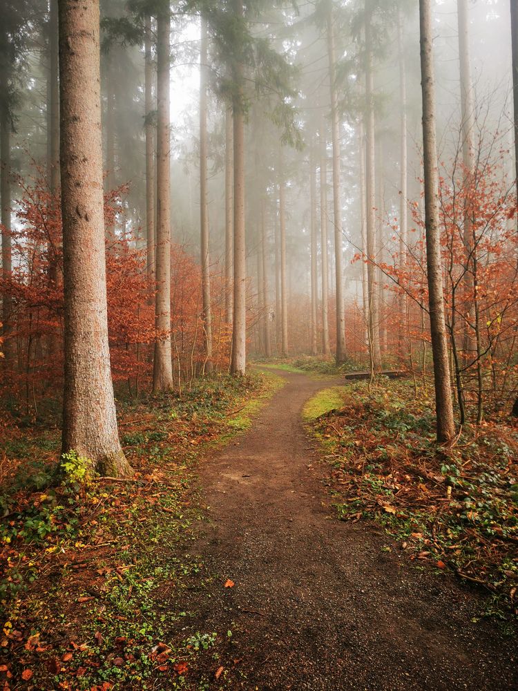 Photograph by Natalya  Podymahina