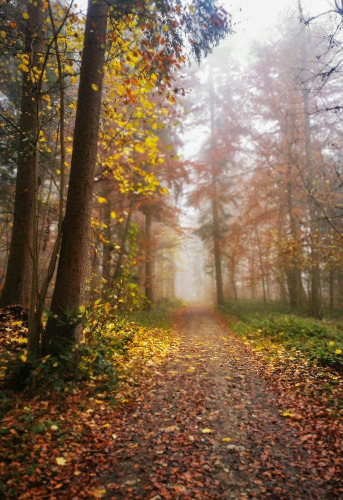 Photograph by Natalya  Podymahina