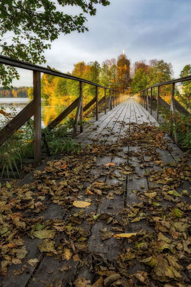 Фотография автора Евгений Ерохин
