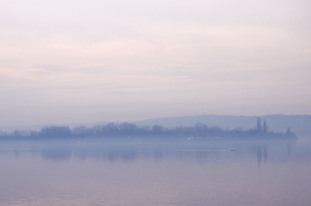 Photograph by Irina Magdalena Bivolaru