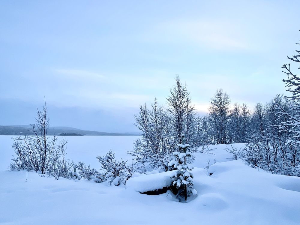 Фотография автора Юлия Шумейко