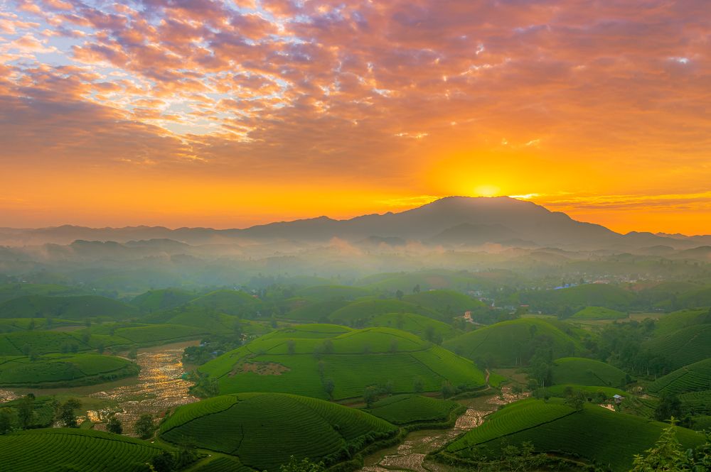 Photograph by Chris Duy