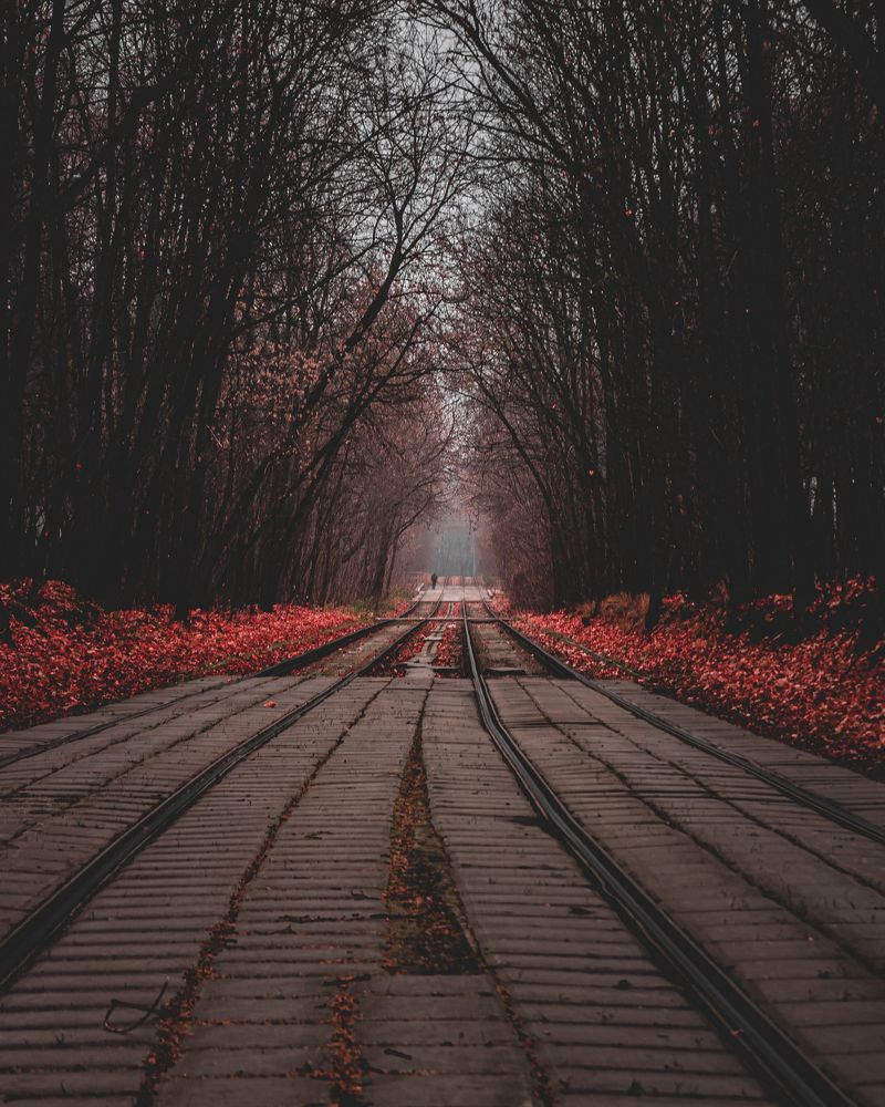 Photograph by Ярослав Зубков