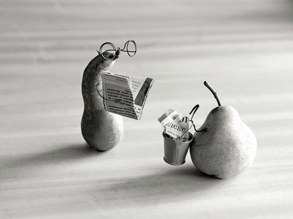 Груня! Вынеси мусор, не засоряй голову!