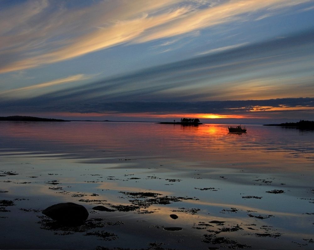 Причуды ночи