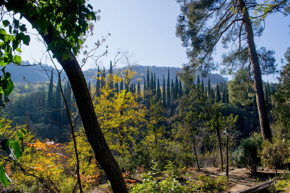 Фотография автора Маис Киракозов