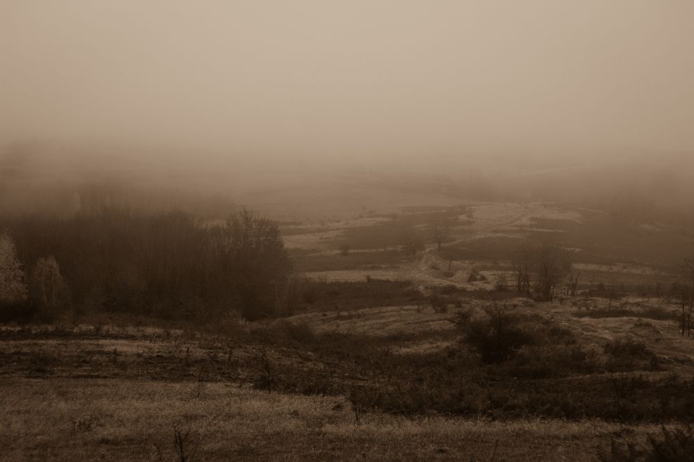 Photograph by Irina Magdalena Bivolaru